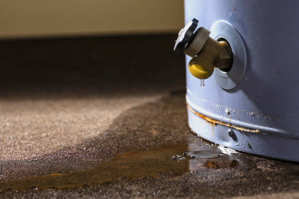 Best 24-hour water damage restoration  in Northbrook, IL