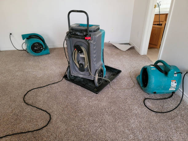 Best Ceiling water damage repair  in Northbrook, IL