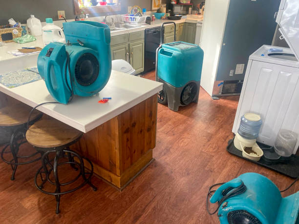 Best Flooded house restoration  in Northbrook, IL