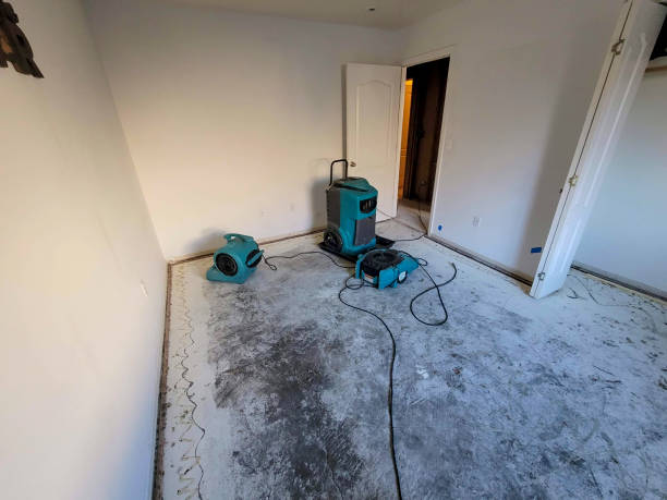 Best Commercial water damage restoration  in Northbrook, IL
