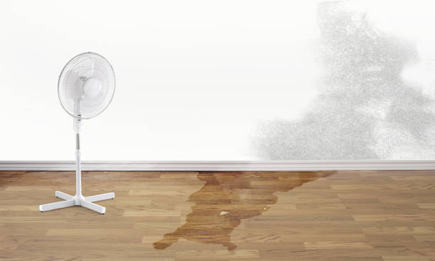 Best Water damage restoration specialists  in Northbrook, IL