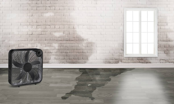 Trusted Northbrook, IL Water damage restoration Experts