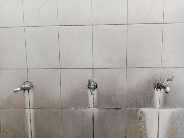 Best Flood damage cleanup  in Northbrook, IL