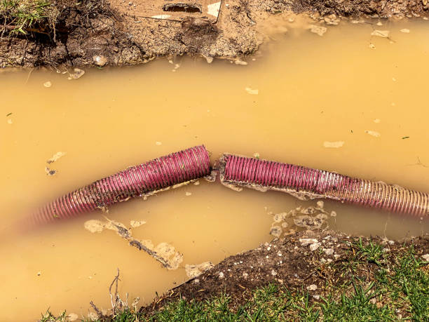 Best Water damage mitigation services  in Northbrook, IL